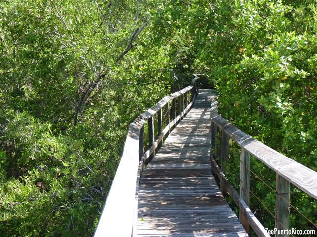 Reserva Natural las Cabezas de San Juan